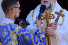 DSC_0449a-Medium