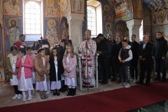 IMG_6111-Medium