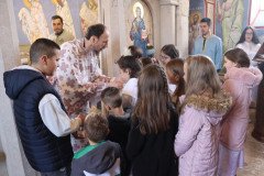 IMG_6146-Medium