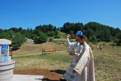 DSC_0534-Medium