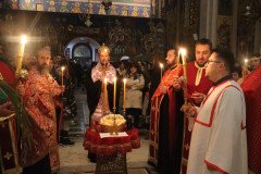 IMG_3896-Medium
