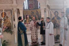 IMG_20230106_100433-Medium