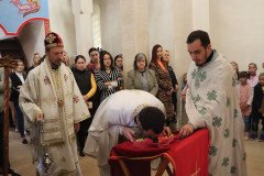 IMG_1472-Medium