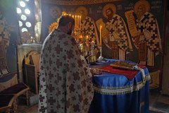 IMG_20220814_081947-Medium