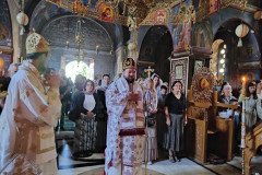 IMG_20220814_082909-Medium