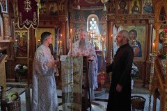 IMG_20220814_084105-Medium