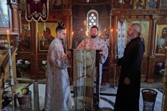 IMG_20220814_084356-Medium