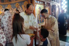 IMG_20220814_085535-Medium