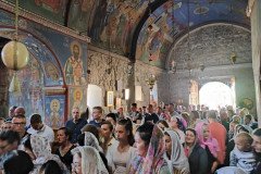 IMG_20220814_092601-Medium