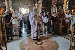 IMG_20220814_093509-Medium