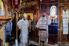 IMG_20220814_093708-Medium