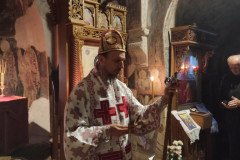 IMG_20230122_095249-Medium