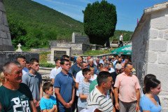 DSC_0205-Medium