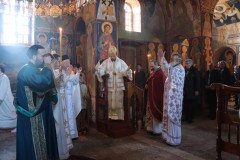 IMG_3613-Medium