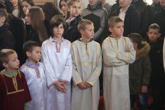 IMG_3486-Medium