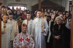 IMG_3488-Medium