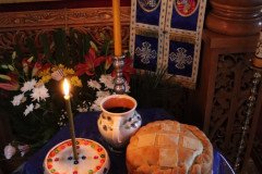 IMG_0610-Medium