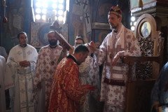 IMG_0628-Medium