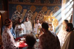 IMG_0649-Medium