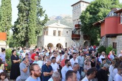 IMG_0670-Medium
