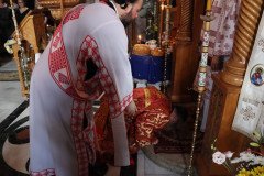 IMG_0689-Medium