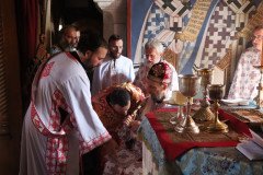 IMG_0692-Medium