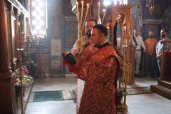 IMG_0709-Medium