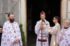 IMG_0774-Medium