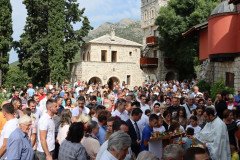 IMG_0778-Medium