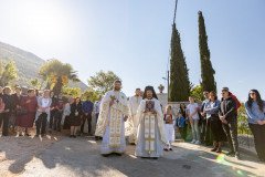 IMG_3176-Medium
