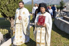 IMG_3201-Medium