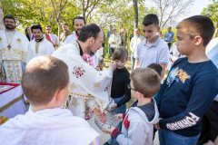 IMG_3386-Medium