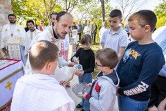 IMG_3390-Medium
