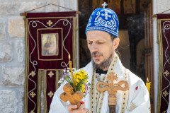 IMG_3506-Medium