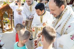 IMG_3534-Medium