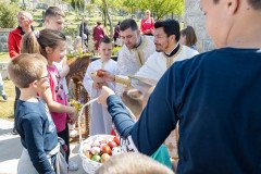 IMG_3536-Medium