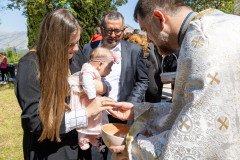 IMG_3555-Medium