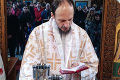 IMG_20240114_104724-Medium