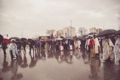 img_1653_52713145270_o-Medium