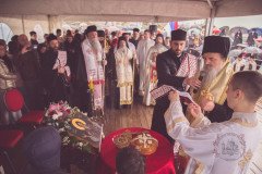 img_1850_52712707201_o-Medium