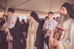 img_1859_52713124000_o-Medium