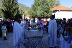 IMG_1308-Medium