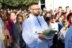 IMG_1311-Medium
