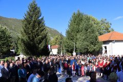 IMG_1319-Medium