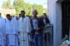 IMG_1320-Medium