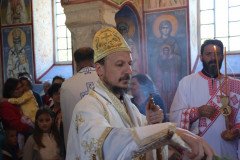 IMG_1324-Medium