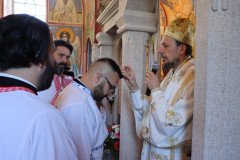 IMG_1370-Medium