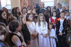 IMG_1399-Medium