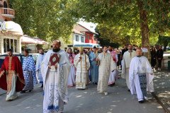 IMG_1413-Medium