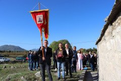 IMG_2354-Large